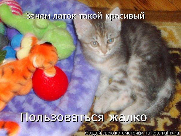 Зачем латок такой красивый Пользоваться жалко... Котоматрица: Зачем латок такой красивый Пользоваться жалко