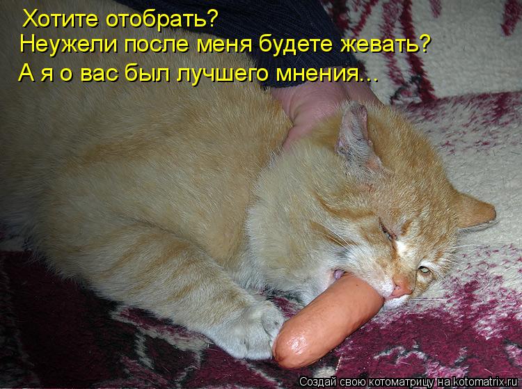 Хотите отобрать? Неужели после меня будете жевать? А я о вас был лучшего мнения...... Котоматрица: Хотите отобрать? Неужели после меня будете жевать? А я о вас был лучшего мнения...