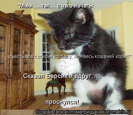 "Ммм......так.... с чего начать: съесть все сосиски,колбасу, или весь кошачий корм?" Сказал Барсик и ... Котоматрица: "Ммм......так.... с чего начать: съесть все сосиски,колбасу, или весь кошачий корм?" Сказал Барсик и вдруг...... проснулся!