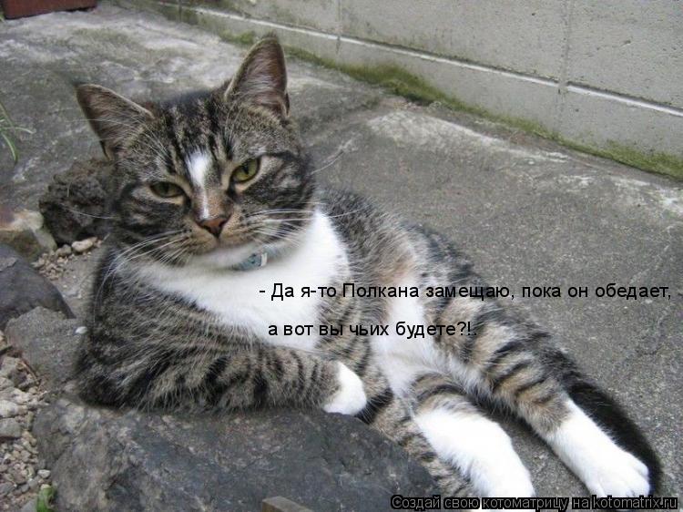 - Да я-то Полкана замещаю, пока он обедает, а вот вы чьих будете?!.... Котоматрица: - Да я-то Полкана замещаю, пока он обедает, а вот вы чьих будете?!.