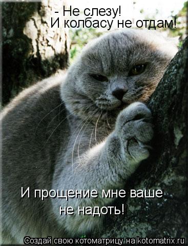 - Не слезу! И колбасу не отдам! И прощение мне ваше не надоть!... Котоматрица: - Не слезу! И колбасу не отдам! И прощение мне ваше не надоть!