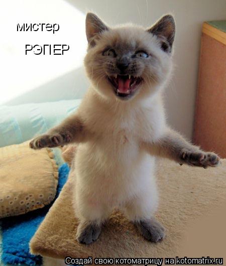 мистер РЭПЕР... Котоматрица: мистер РЭПЕР