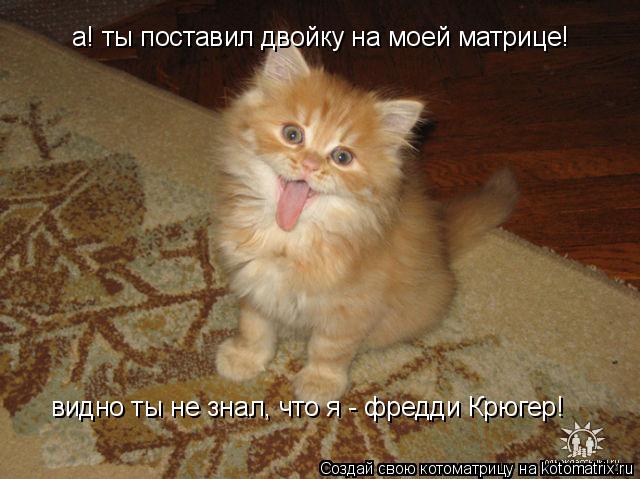 а! ты поставил двойку на моей матрице! видно ты не знал, что я - фредди Крюгер!... Котоматрица: а! ты поставил двойку на моей матрице! видно ты не знал, что я - фредди Крюгер!