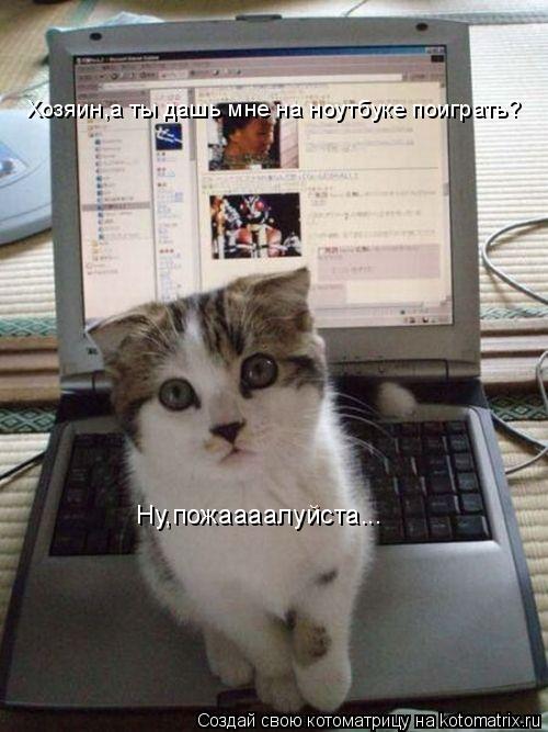 Хозяин,а ты дашь мне на ноутбуке поиграть? Ну,пожаааалуйста...... Котоматрица: Хозяин,а ты дашь мне на ноутбуке поиграть? Ну,пожаааалуйста...