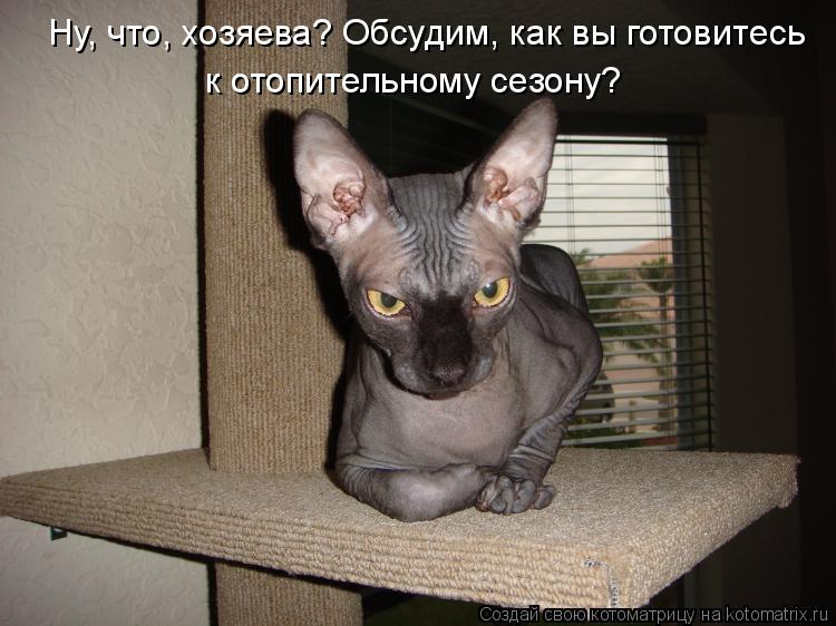 Котоматрица: Ну, что, хозяева? Обсудим, как вы готовитесь к отопительному сезону?