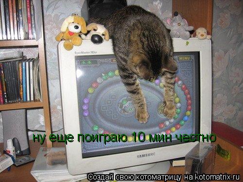 ну еще поиграю 10 мин честно... Котоматрица: ну еще поиграю 10 мин честно