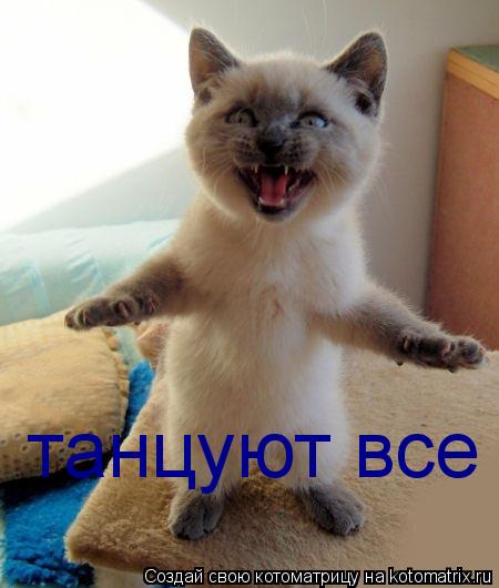 танцуют все... Котоматрица: танцуют все