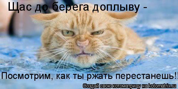 Щас до берега доплыву - Посмотрим, как ты ржать перестанешь!!!... Котоматрица: Щас до берега доплыву - Посмотрим, как ты ржать перестанешь!!!