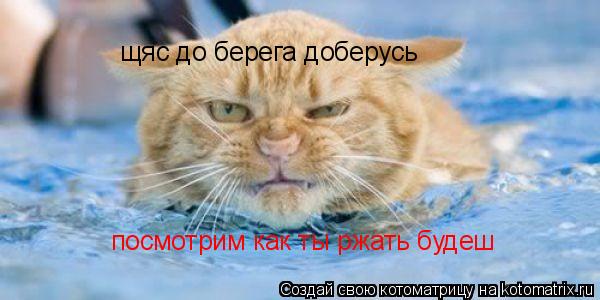 щяс до берега доберусь посмотрим как ты ржать будеш... Котоматрица: щяс до берега доберусь посмотрим как ты ржать будеш