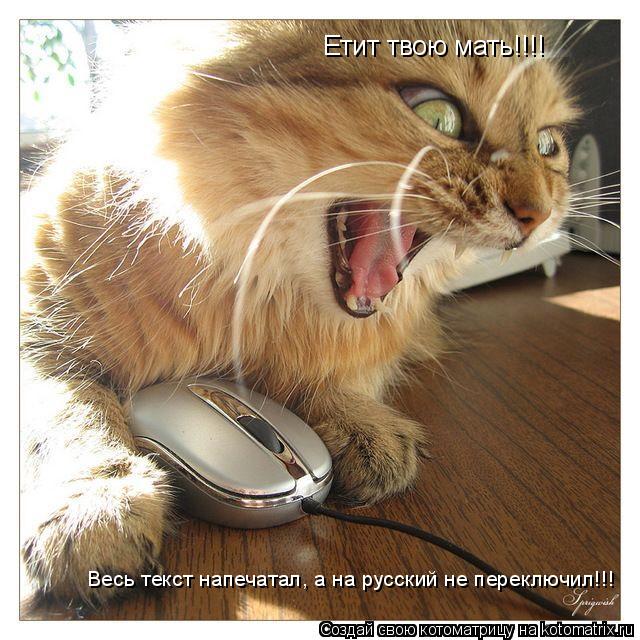Котоматрица: Етит твою мать!!!! Весь текст напечатал, а на русский не переключил!!!