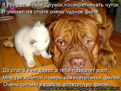 Котоматрица: Я пришёл к тебе,Дружок,посекретничать чуток. Я унюхал на столе очень чудное филе. До стола я не дорос,а тебе позволит рост. Мне так хочется,по