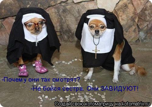 -Почему они так смотрят? -Не бойся сестра. Они ЗАВИДУЮТ!... Котоматрица: -Почему они так смотрят? -Не бойся сестра. Они ЗАВИДУЮТ!