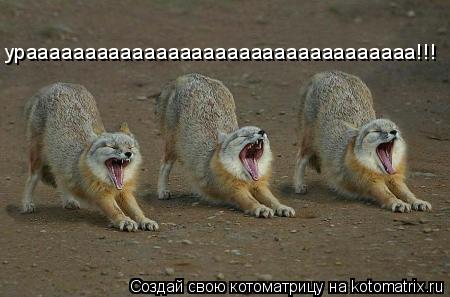 урааааааааааааааааааааааааааааааааа!!!... Котоматрица: урааааааааааааааааааааааааааааааааа!!!