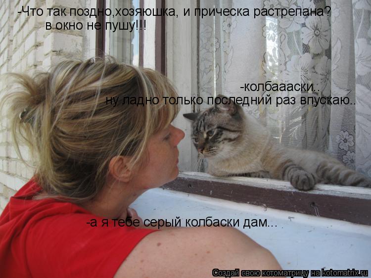 -Что так поздно,хозяюшка, и прическа растрепана? в окно не пушу!!! -а я тебе серый колбаски дам... -к... Котоматрица: -Что так поздно,хозяюшка, и прическа растрепана? в окно не пушу!!! -а я тебе серый колбаски дам... -колбаааски.. ну ладно только последний раз вп