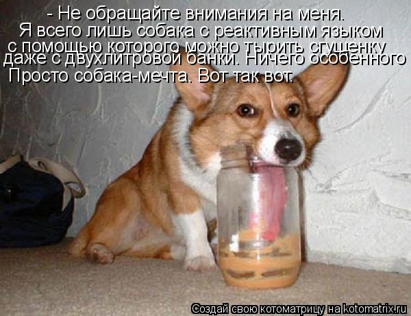 - Не обращайте внимания на меня. Я всего лишь собака с реактивным языком с помощью которого можно тыр... Котоматрица: - Не обращайте внимания на меня. Я всего лишь собака с реактивным языком с помощью которого можно тырить сгущенку даже с двухлитровой банки.