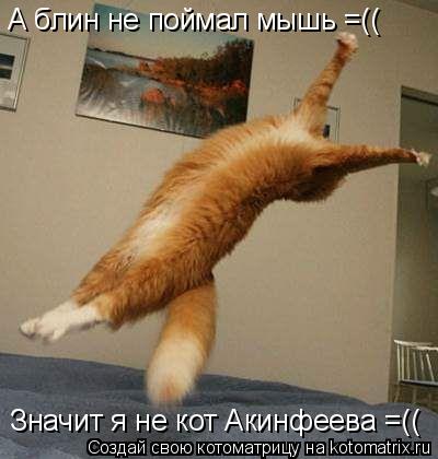 А блин не поймал мышь =(( Значит я не кот Акинфеева =((... Котоматрица: А блин не поймал мышь =(( Значит я не кот Акинфеева =((