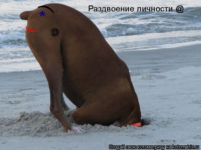 Котоматрица: * ) ( @ Раздвоение личности @