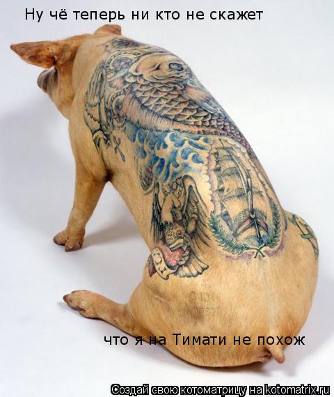 Ну чё теперь ни кто не скажет что я на Тимати не похож... Котоматрица: Ну чё теперь ни кто не скажет что я на Тимати не похож
