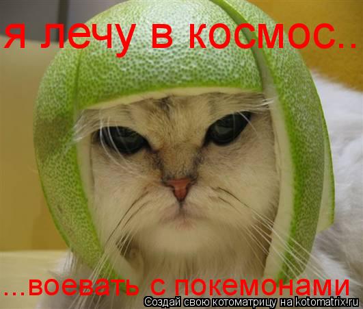 я лечу в космос.. ...воевать с покемонами... Котоматрица: я лечу в космос.. ...воевать с покемонами