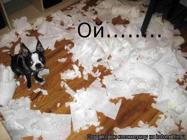 Ой........... Котоматрица: Ой........