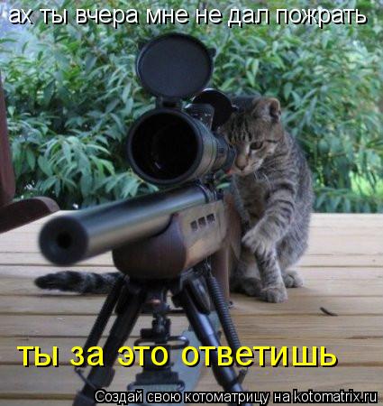 ах ты вчера мне не дал пожрать ты за это ответишь... Котоматрица: ах ты вчера мне не дал пожрать ты за это ответишь