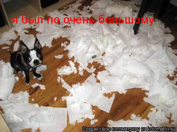 я был по очень большому... Котоматрица: я был по очень большому