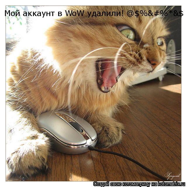Мой аккаунт в WoW удалили! @$%&#%*&$... Котоматрица: Мой аккаунт в WoW удалили! @$%&#%*&$