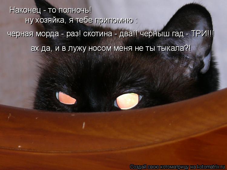Наконец - то полночь! ну хозяйка, я тебе припомню : черная морда - раз! скотина - два!! черныш гад -... Котоматрица: Наконец - то полночь! ну хозяйка, я тебе припомню : черная морда - раз! скотина - два!! черныш гад - ТРИ!!! ах да, и в лужу носом меня не ты тыкала?!