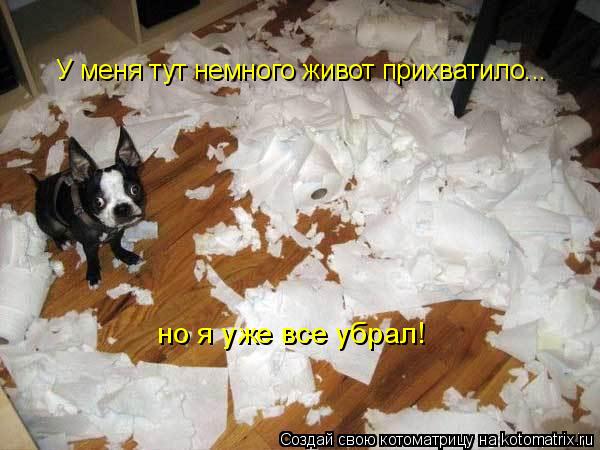 У меня тут немного живот прихватило... но я уже все убрал!... Котоматрица: У меня тут немного живот прихватило... но я уже все убрал!