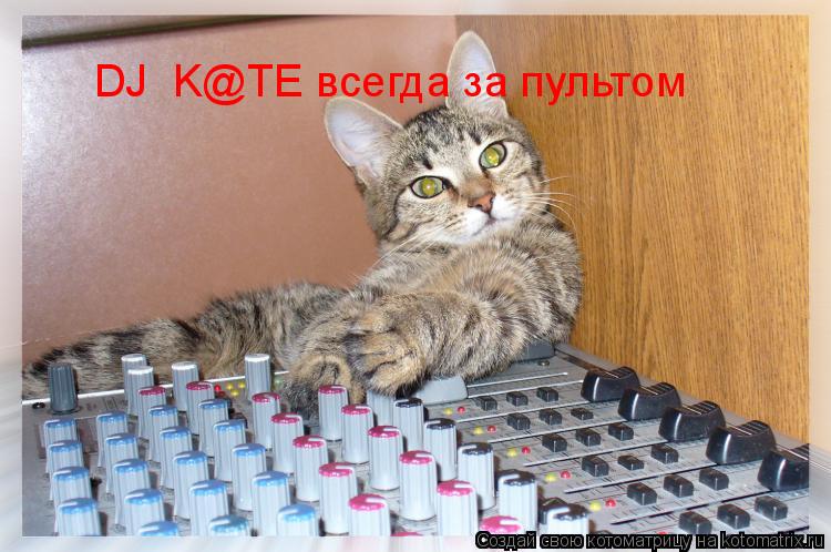 DJ K@TE всегда за пультом... Котоматрица: DJ K@TE всегда за пультом
