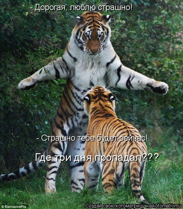 - Дорогая, люблю страшно! - Страшно тебе будет сейчас! Где три дня пропадал???... Котоматрица: - Дорогая, люблю страшно! - Страшно тебе будет сейчас! Где три дня пропадал???