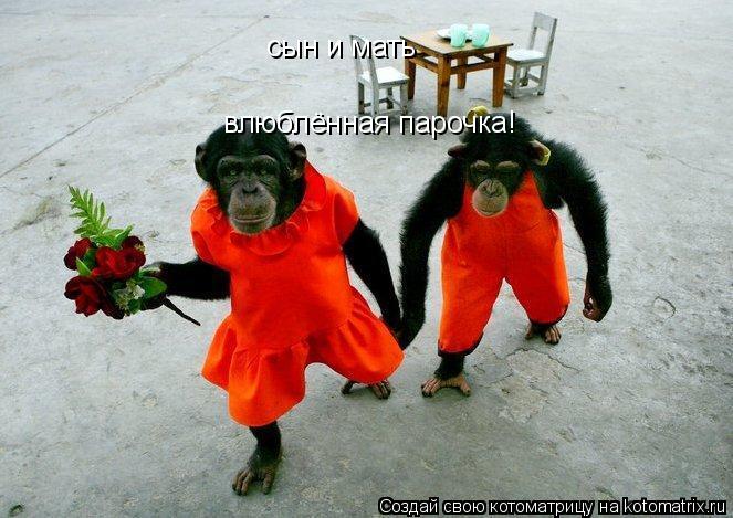 сын и мать влюблённая парочка!... Котоматрица: сын и мать влюблённая парочка!