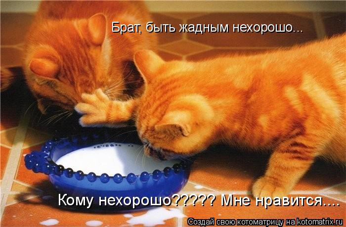 Брат, быть жадным нехорошо... Кому нехорошо????? Мне нравится....... Котоматрица: Брат, быть жадным нехорошо... Кому нехорошо????? Мне нравится....