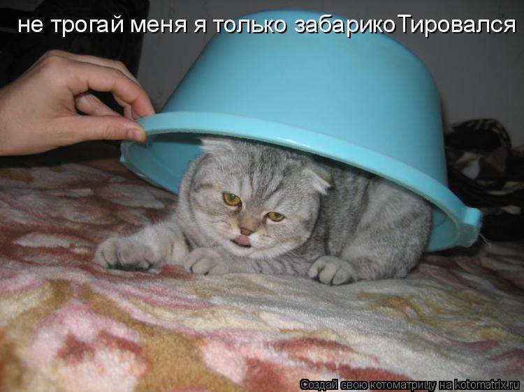 не трогай меня я только забарикоТировался... Котоматрица: не трогай меня я только забарикоТировался