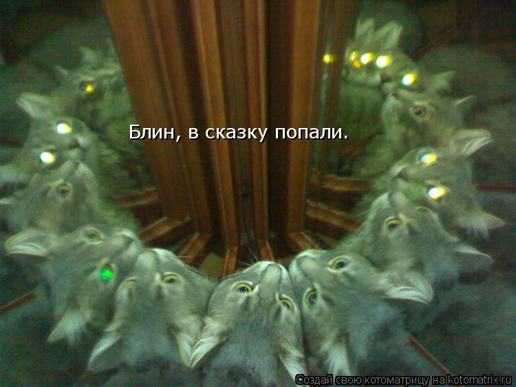 Блин, в сказку попали.... Котоматрица: Блин, в сказку попали.
