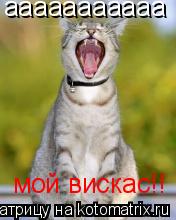 ааааааааааа мой вискас!!... Котоматрица: ааааааааааа мой вискас!!