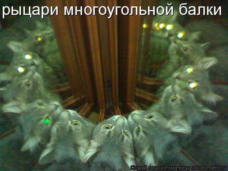 рыцари многоугольной балки... Котоматрица: рыцари многоугольной балки