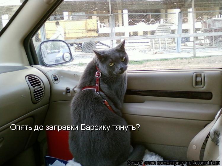 Опять до заправки Барсику тянуть?... Котоматрица: Опять до заправки Барсику тянуть?