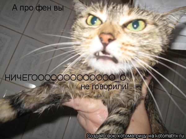 А про фен вы НИЧЕГООООООООООООО_О не говорили!... Котоматрица: А про фен вы НИЧЕГООООООООООООО_О не говорили!