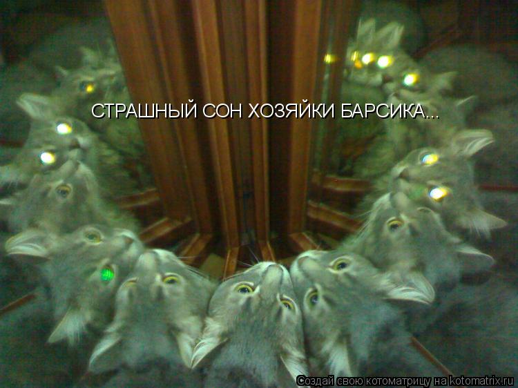 СТРАШНЫЙ СОН ХОЗЯЙКИ БАРСИКА...... Котоматрица: СТРАШНЫЙ СОН ХОЗЯЙКИ БАРСИКА...