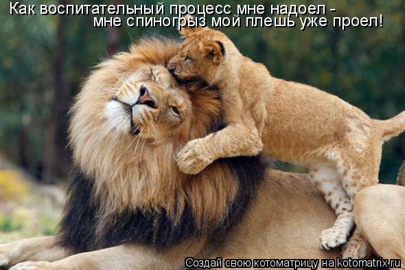 Как воспитательный процесс мне надоел - мне спиногрыз мой плешь уже проел!... Котоматрица: Как воспитательный процесс мне надоел - мне спиногрыз мой плешь уже проел!