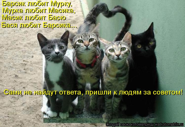 Барсик любит Мурку, Мурка любит Масика, Масик любит Басю Бася любит Барсика... Сами не найдут ответа,... Котоматрица: Барсик любит Мурку, Мурка любит Масика, Масик любит Басю Бася любит Барсика... Сами не найдут ответа, пришли к людям за советом!