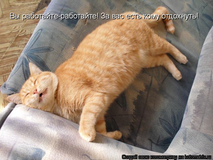 Вы работайте-работайте! За вас есть кому отдохнуть!... Котоматрица: Вы работайте-работайте! За вас есть кому отдохнуть!
