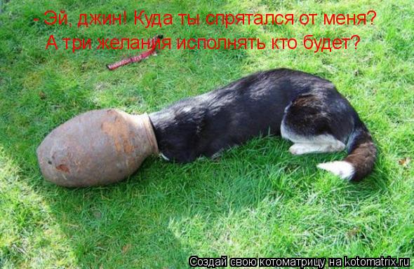 - Эй, джин! Куда ты спрятался от меня? А три желания исполнять кто будет?... Котоматрица: - Эй, джин! Куда ты спрятался от меня? А три желания исполнять кто будет?