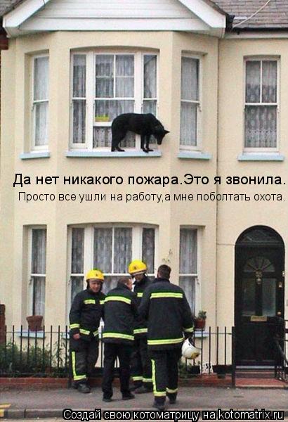 Да нет никакого пожара.Это я звонила. Просто все ушли на работу,а мне поболтать охота.... Котоматрица: Да нет никакого пожара.Это я звонила. Просто все ушли на работу,а мне поболтать охота.
