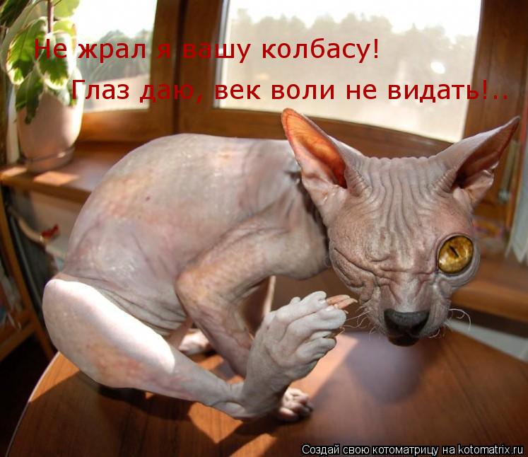 Не жрал я вашу колбасу! Глаз даю, век воли не видать!..... Котоматрица: Не жрал я вашу колбасу! Глаз даю, век воли не видать!..