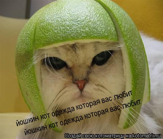 йошкин кот одежда которая вас любит йошкин кот одежда которая вас любит... Котоматрица: йошкин кот одежда которая вас любит йошкин кот одежда которая вас любит