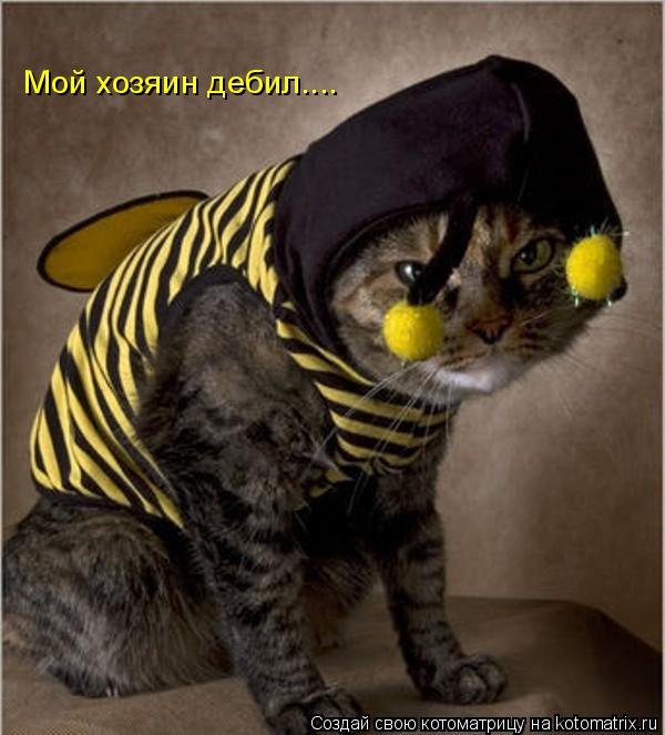 Мой хозяин дебил....... Котоматрица: Мой хозяин дебил....