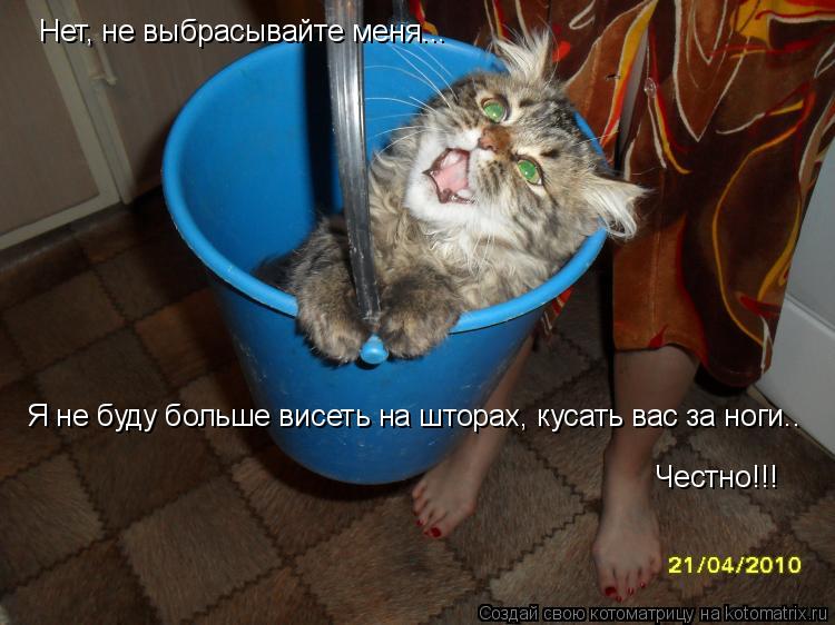 Нет, не выбрасывайте меня... Я не буду больше висеть на шторах, кусать вас за ноги.. Честно!!!... Котоматрица: Нет, не выбрасывайте меня... Я не буду больше висеть на шторах, кусать вас за ноги.. Честно!!!