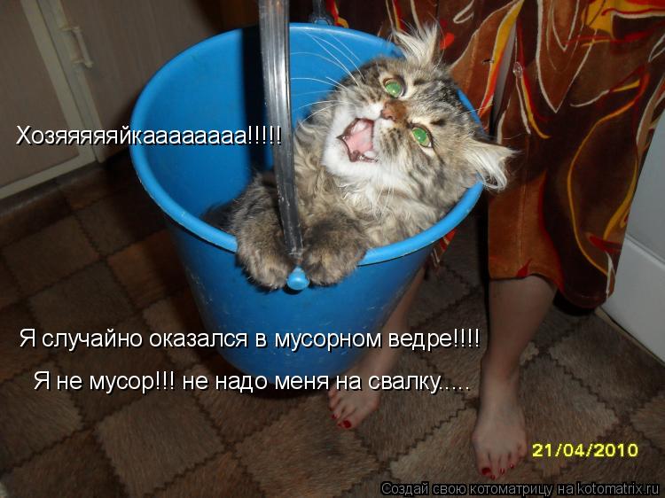 Хозяяяяяйкаааааааа!!!!! Я случайно оказался в мусорном ведре!!!! Я случайно оказался в мусорном ведр... Котоматрица: Хозяяяяяйкаааааааа!!!!! Я случайно оказался в мусорном ведре!!!! Я случайно оказался в мусорном ведре!!!! Я не мусор!!! не надо меня на свалку.....